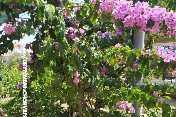 Appartements Vinka – foto 20