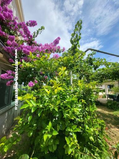 Appartements Vinka – foto 23