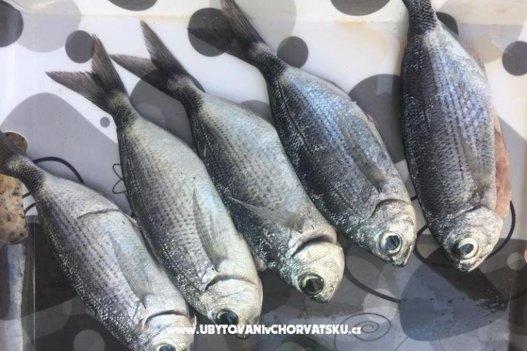 Ferienwohnungen Milka – foto 19