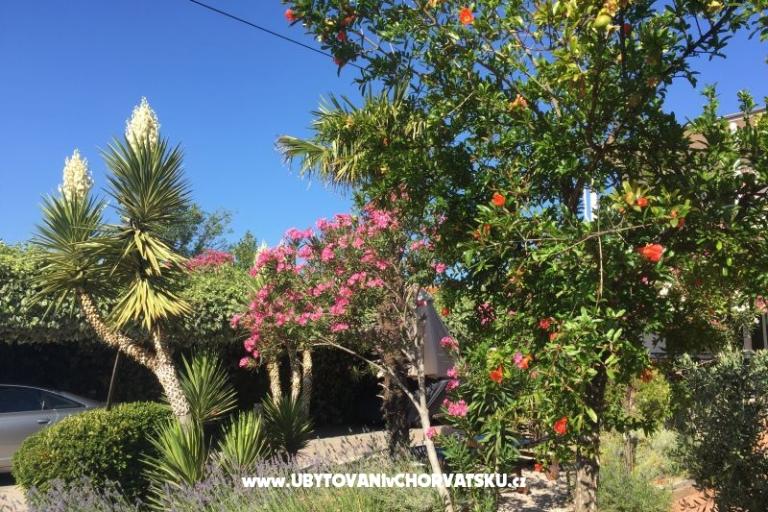 Ferienwohnungen Milka – foto 36