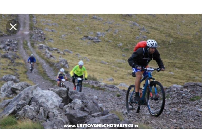 Ferienwohnungen Ivica i Ljuba Cukrov  – foto 17