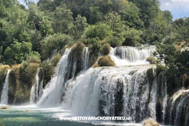 Kiwi Haus – foto 10