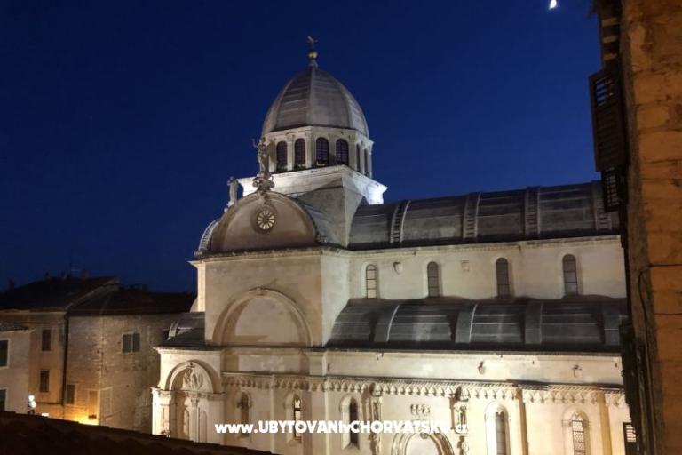 Kiwi Haus – foto 11