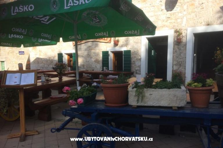 Kiwi Haus – foto 12