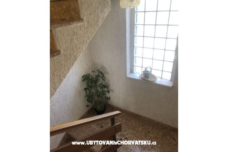 Kiwi Haus – foto 13