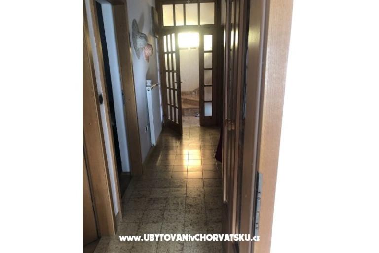 Kiwi Haus – foto 15