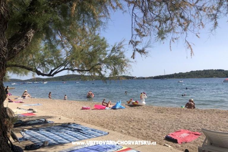 Kiwi Haus – foto 3