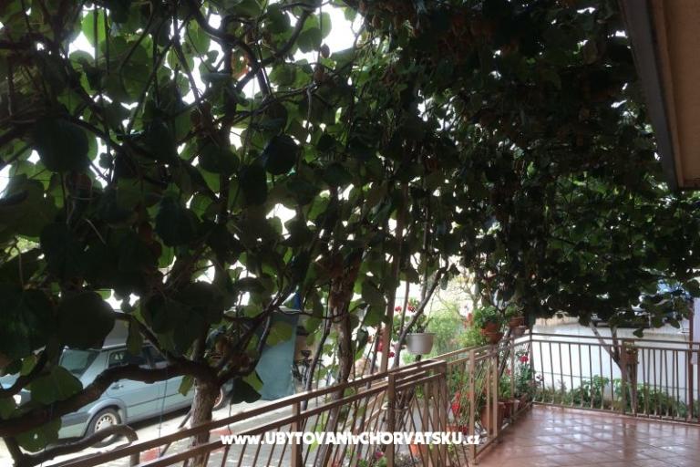 Kiwi Haus – foto 5