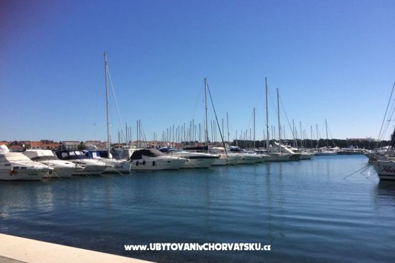 Kiwi Haus – foto 6