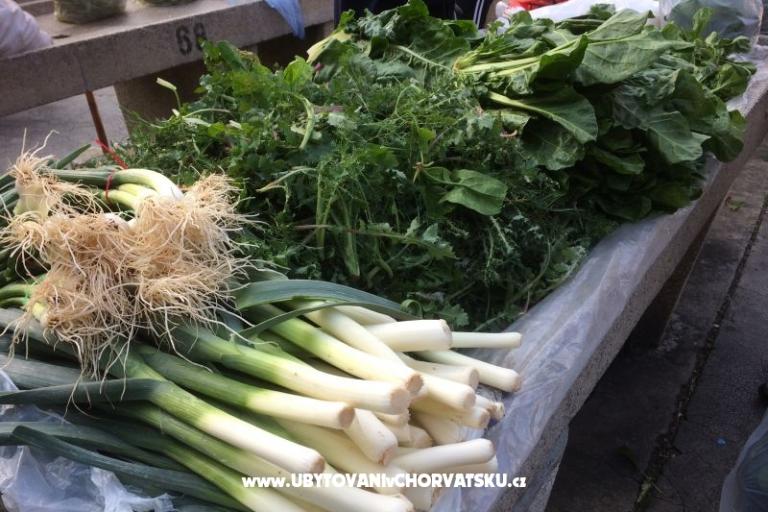 Kiwi Haus – foto 7