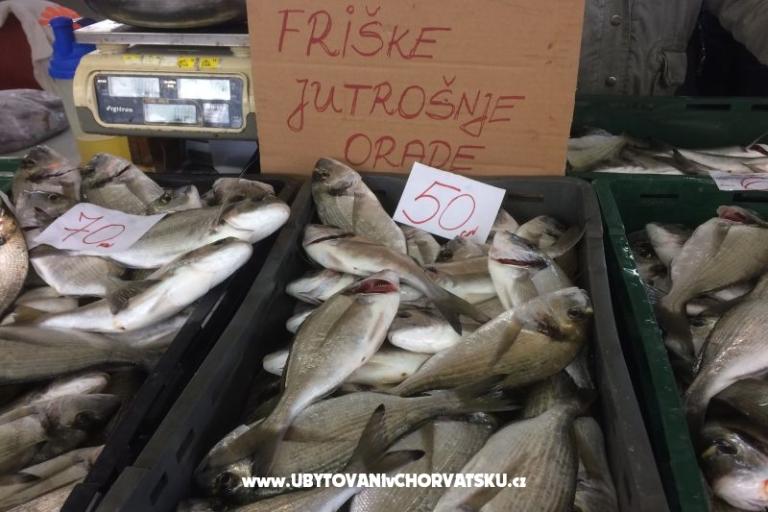 Kiwi Haus – foto 8