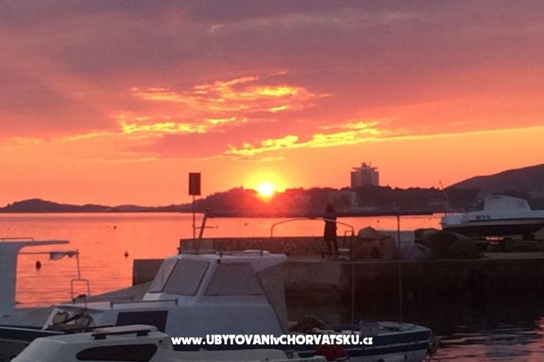 Kiwi Haus – foto 9