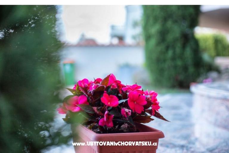 Villa Lovas – foto 6