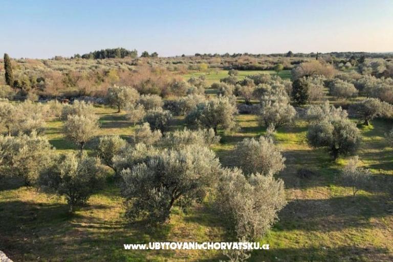 Casadigioia Ferienwohnungen – foto 6