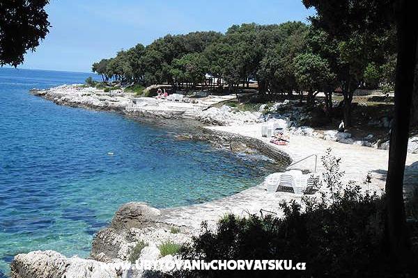 Apartmentets Fabio – foto 4