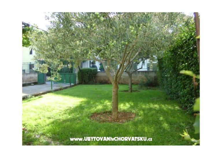 Apartment  Dalmacija – foto 17