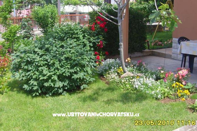 Apartment Amico – foto 6
