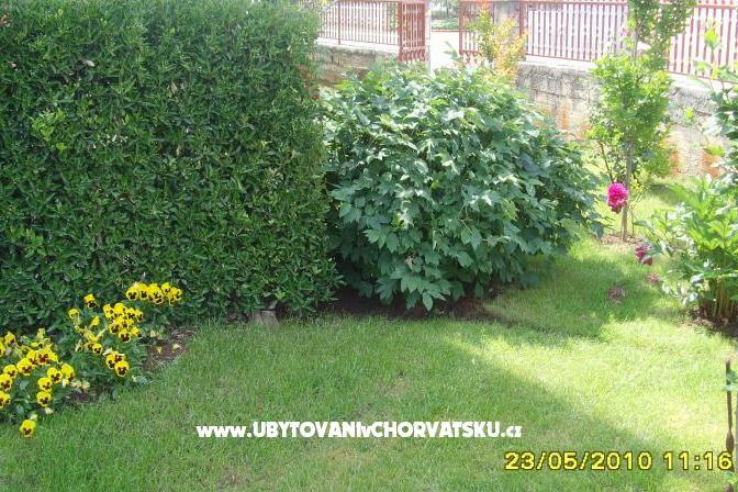 Apartment Amico – foto 8