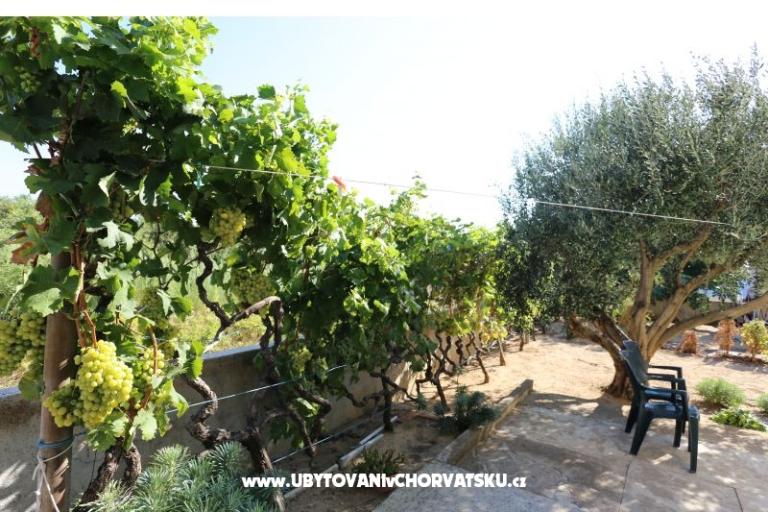 Apartment Radobuljac Vrsi  – foto 3