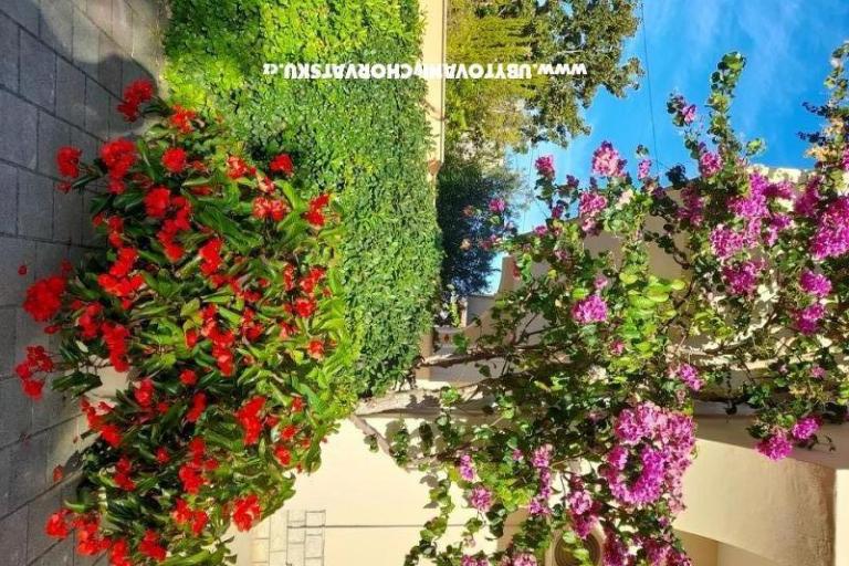 Appartements Mira – foto 5