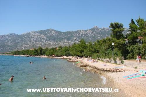 Apartmentts  Rovanjska - ŽELJKA – foto 2
