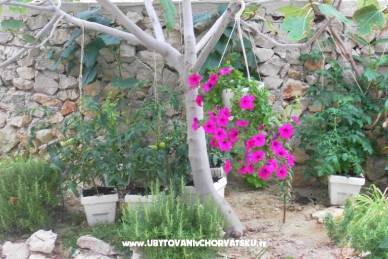 Appartements Stojanović – foto 16