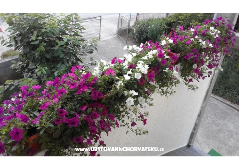 Apartments  Nina  – foto 11