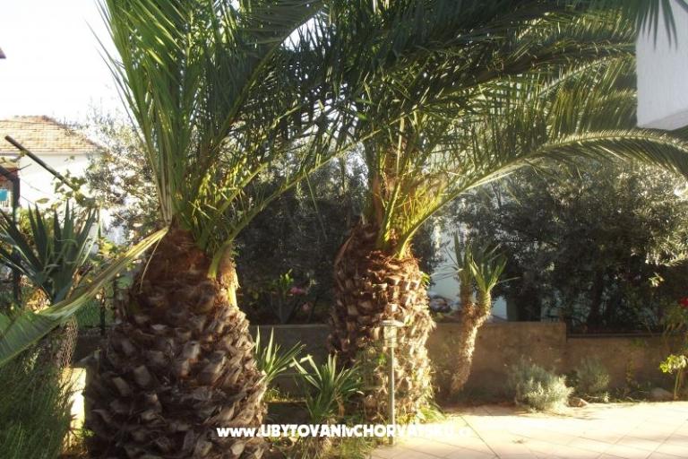 Ferienwohnungen Borik – foto 2