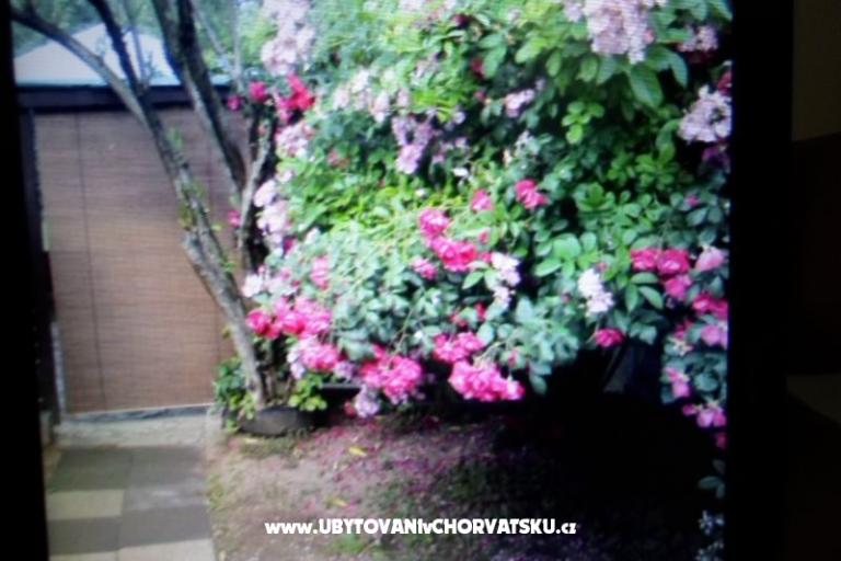 Ferienwohnungen Floresita – foto 16