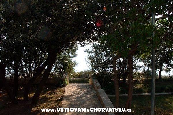 Ferienwohnungen ISA – foto 6