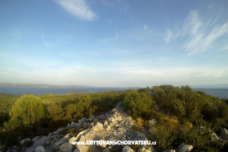 Esso Grande – foto 16