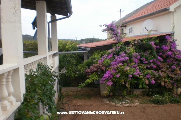 Haus Branka – foto 16