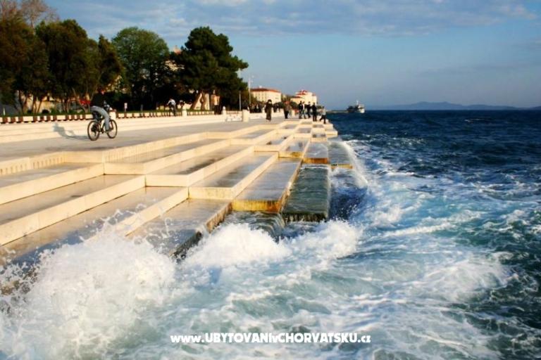 Mobilna kućica Sara – foto 8