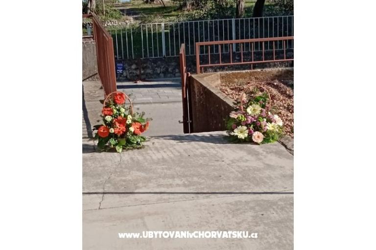 Apartment Viter – foto 2