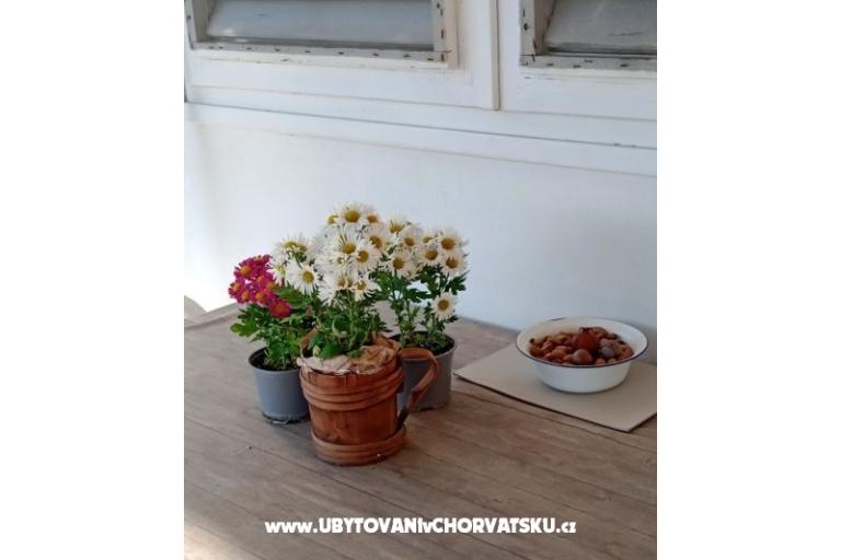 Apartment Viter – foto 5