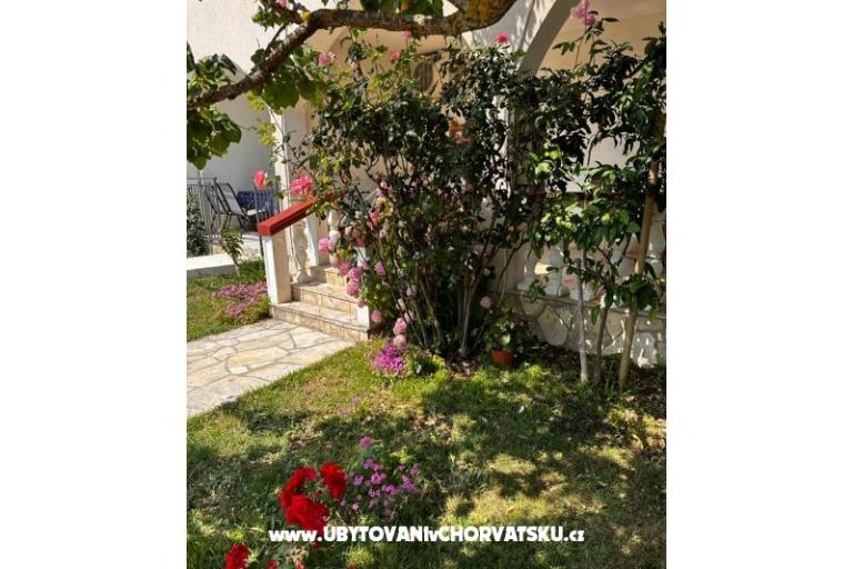 Appartements Ana Ercegović  – foto 9
