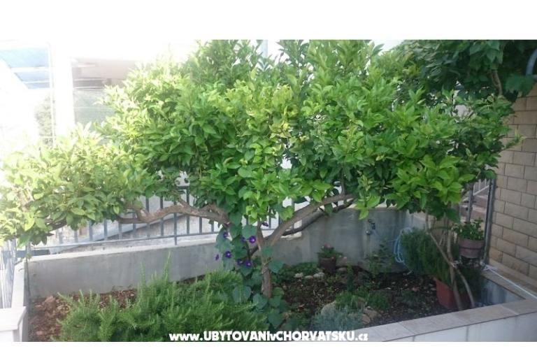 Appartements Jovanović – foto 12