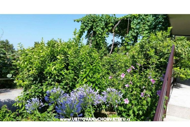 Appartements Lily – foto 5