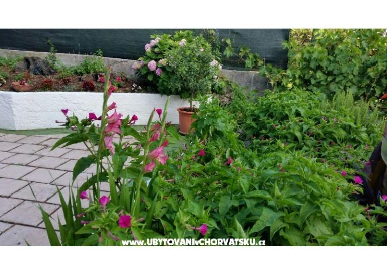 Appartements Lily – foto 8