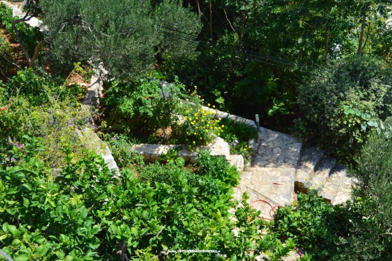 Appartements Majstrović Živogošće – foto 6