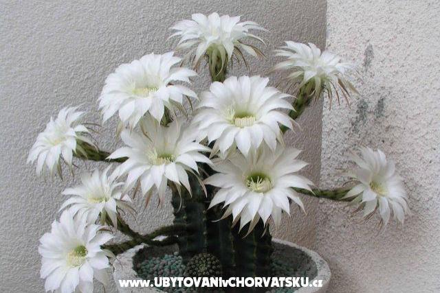 Appartements LM – foto 3