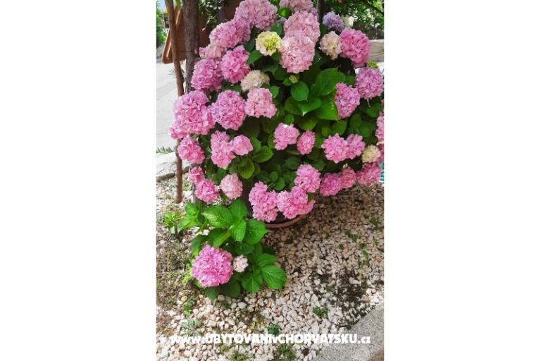 Ferienwohnungen NEDA – foto 25