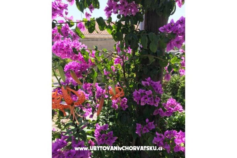 Appartements Kod Vlaha ,I&amp;T – foto 13