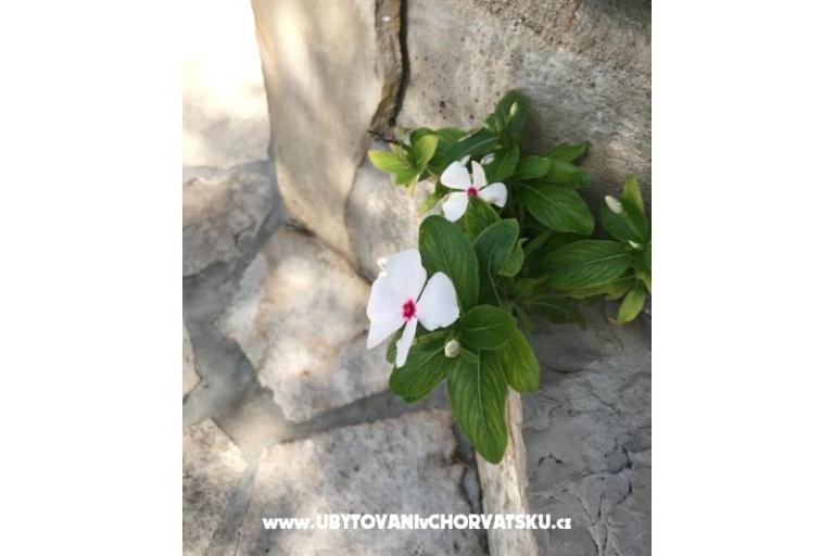 Appartements Kod Vlaha ,I&amp;T – foto 14